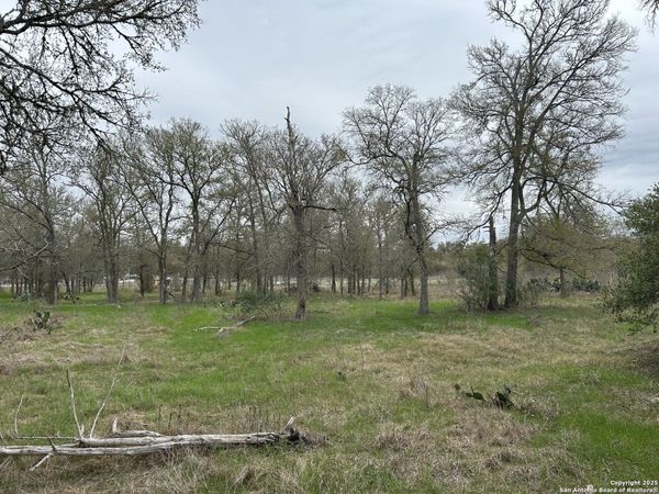 141 N Eskew Lane, Cedar Creek, TX 78612