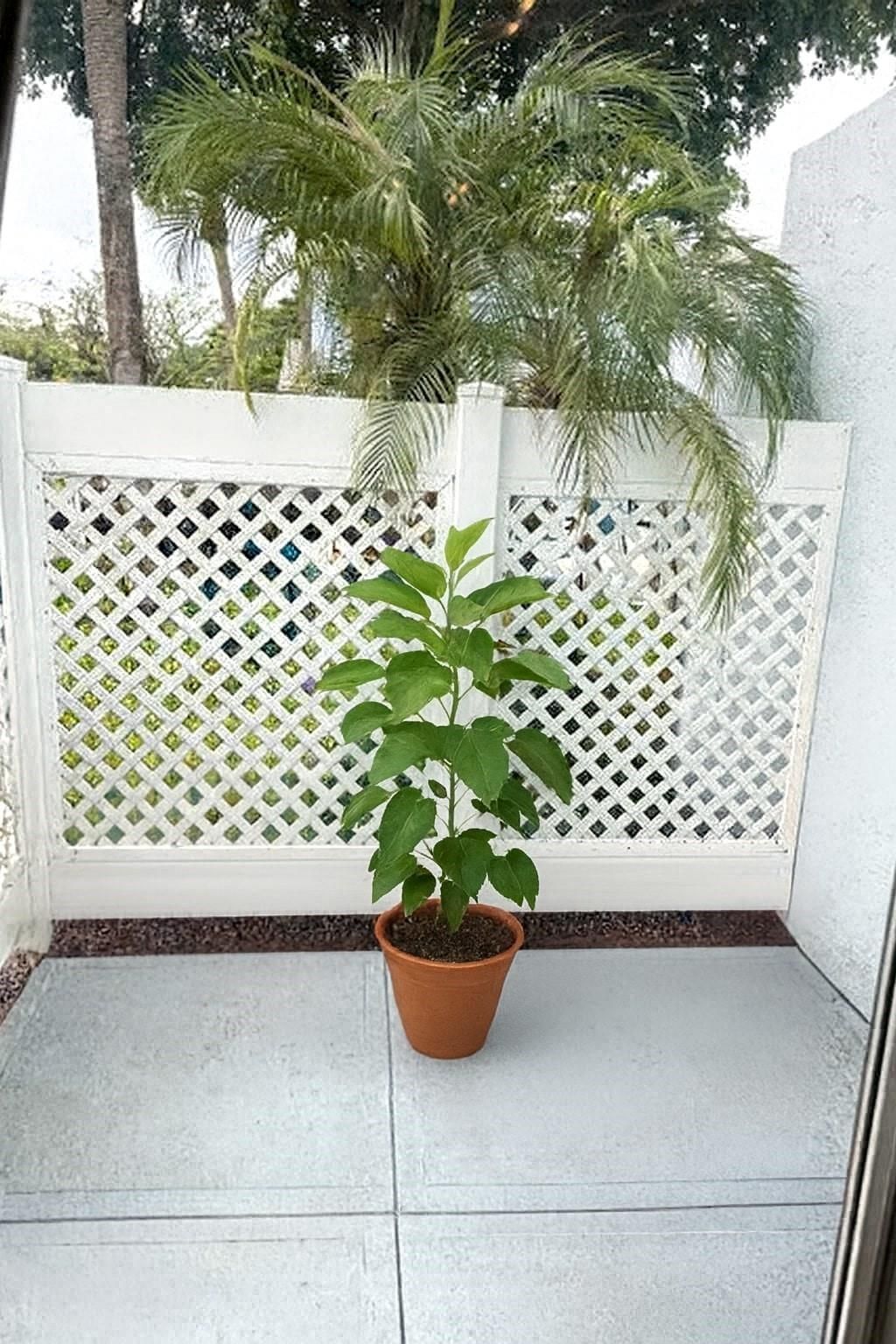 9778 Nickels Blvd, Unit 504, Boynton Beach, FL 33436 Photo