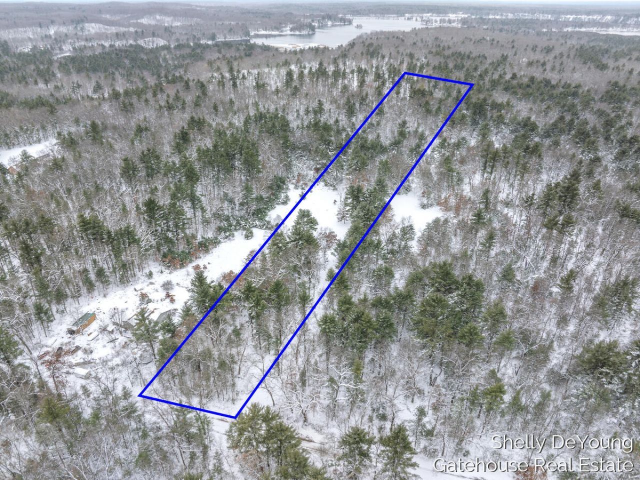 6007 S Cypress Avenue, Newaygo, MI 49337 Main Photo