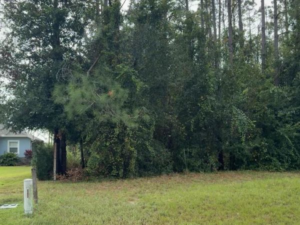 LAKE SMITH ROAD, UMATILLA, FL 32784