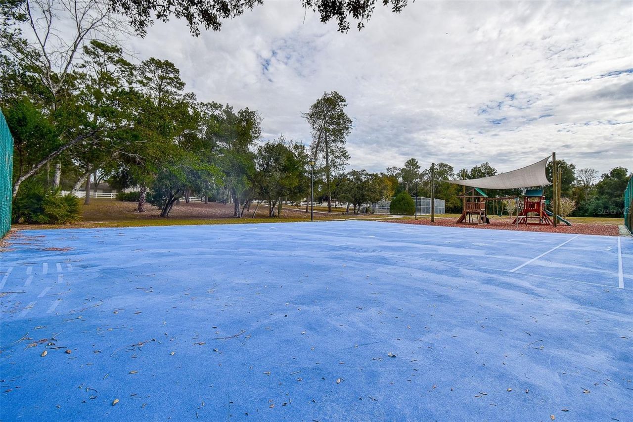 5253 Sandra Drive, Spring Hill, FL 34607 Photo