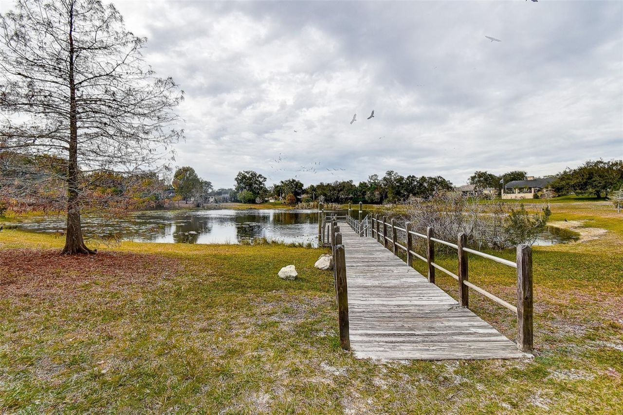 5253 Sandra Drive, Spring Hill, FL 34607 Photo