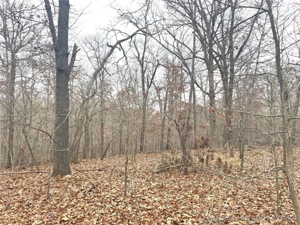 29200 Hampton Ridge Road, Proctor, OK 74457