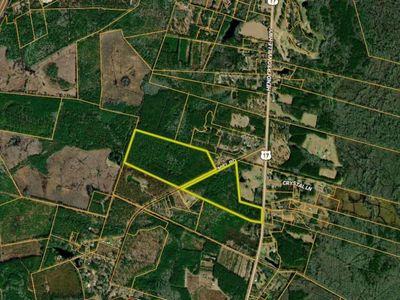 0000 Peniel Road, Walterboro, SC 29488