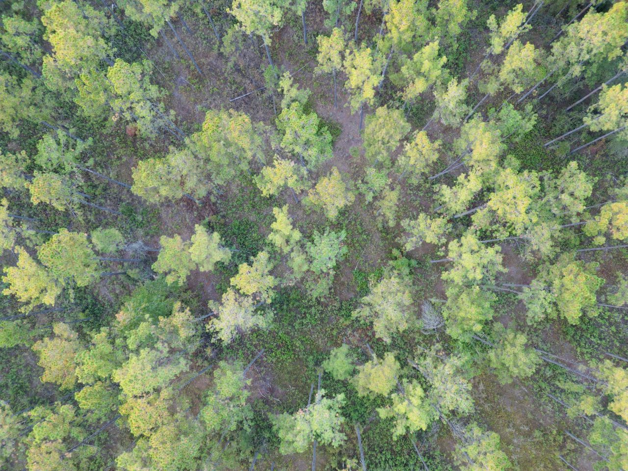 0000 Peniel Road Photo 10