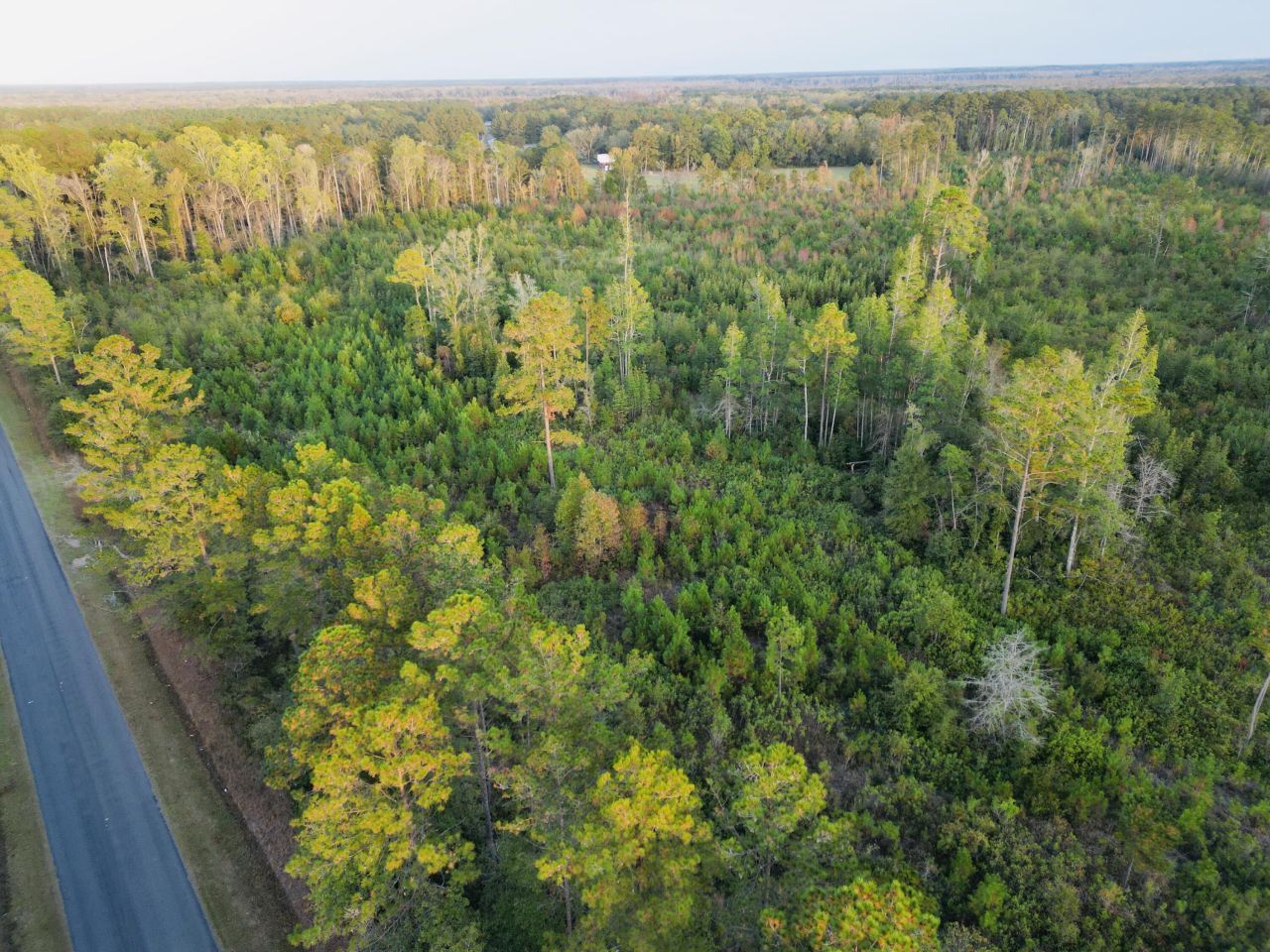 0000 Peniel Road Photo 11