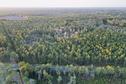 0000 Peniel Road photo 4