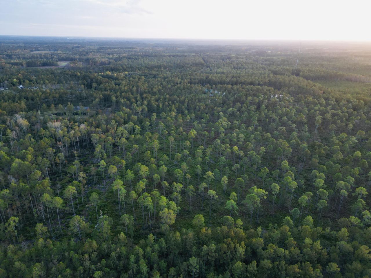 0000 Peniel Road Photo 4