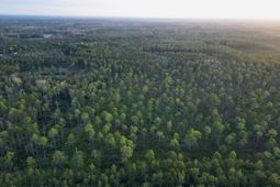 0000 Peniel Road photo 4