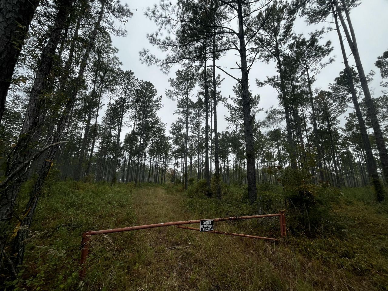 0000 Peniel Road Photo 5