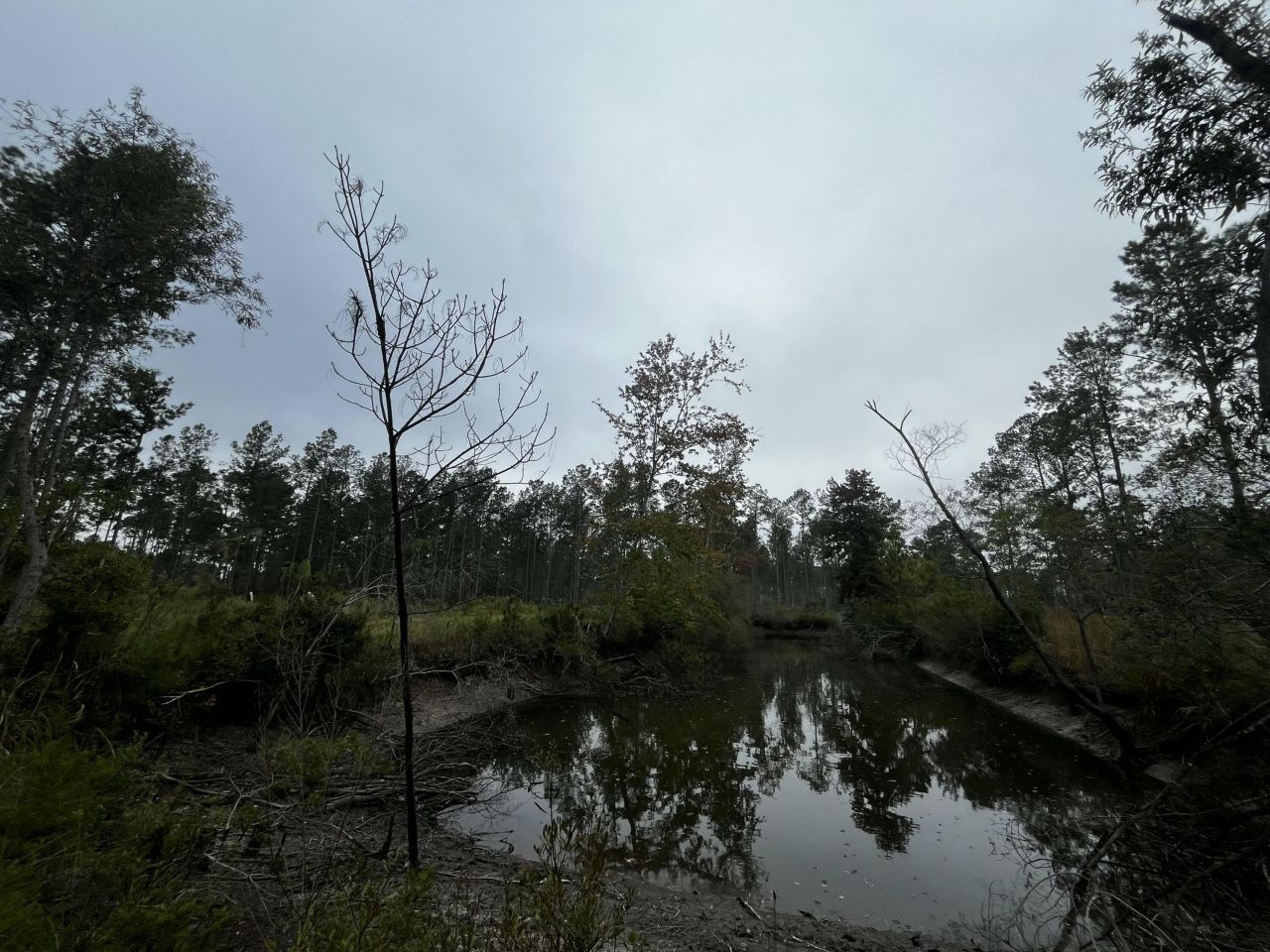 0000 Peniel Road Photo 6