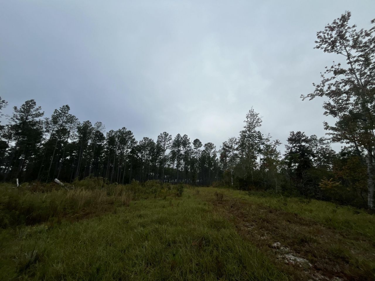 0000 Peniel Road Photo 8