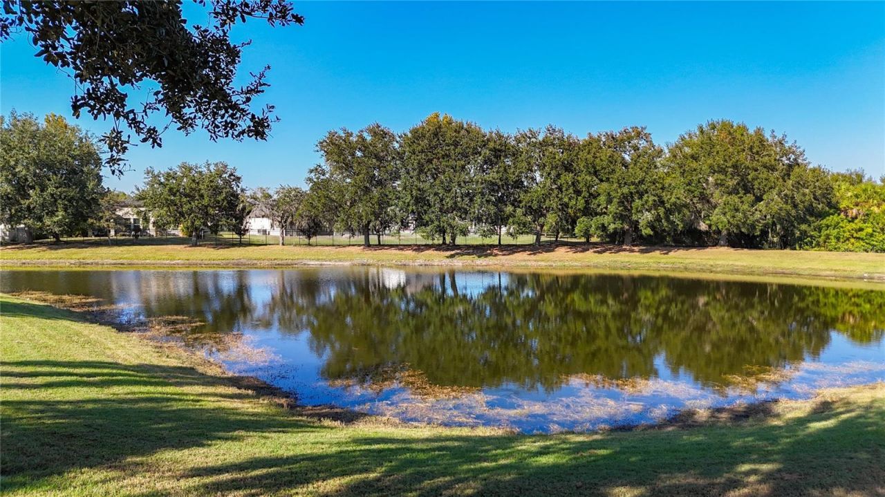 12271 Lavender Loop, Bradenton, FL 34212 Photo