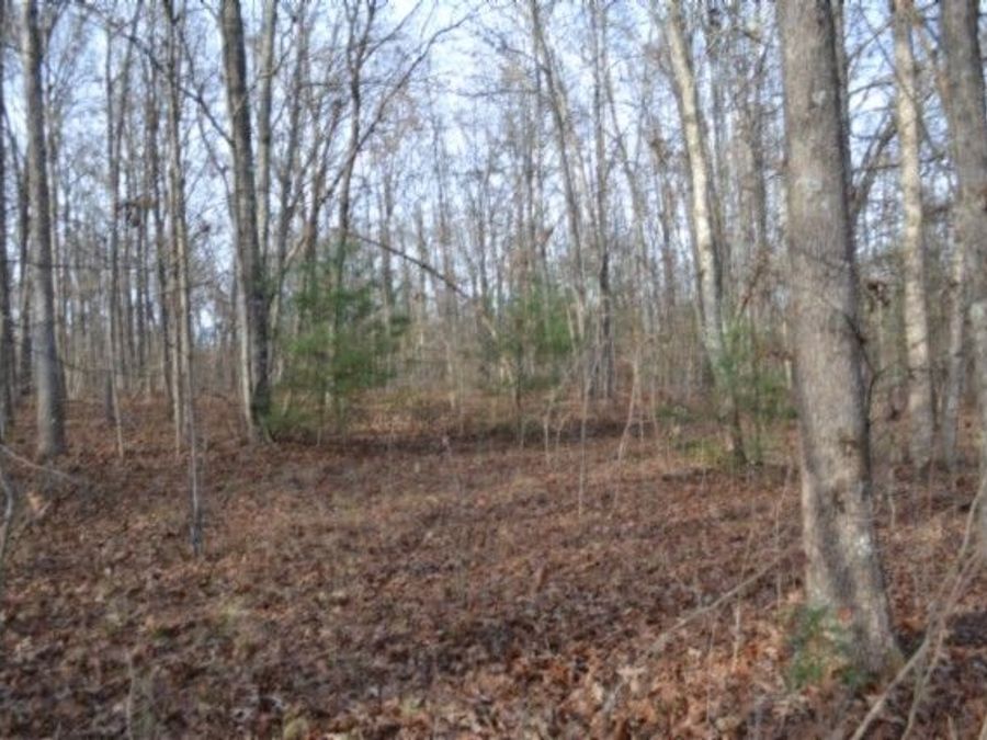 Property Image 18