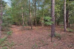 Tbd Russell Rowe Road photo 4