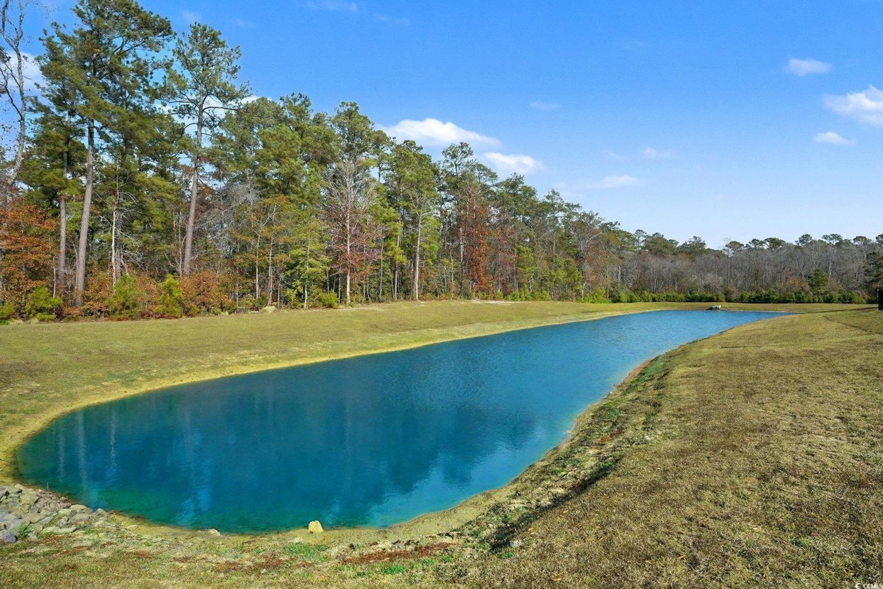 211 Pine Forest Dr. Photo 26