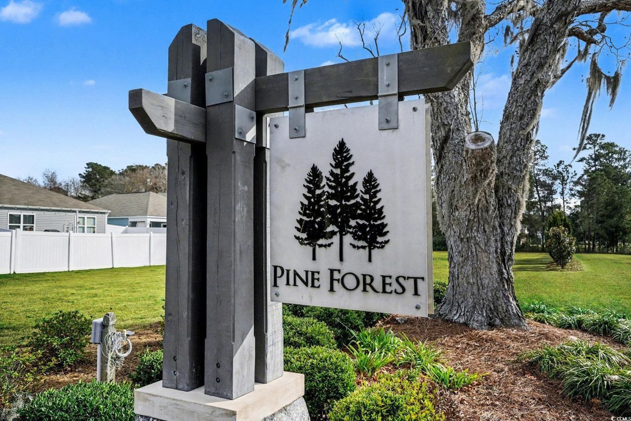 211 Pine Forest Dr. Photo 30