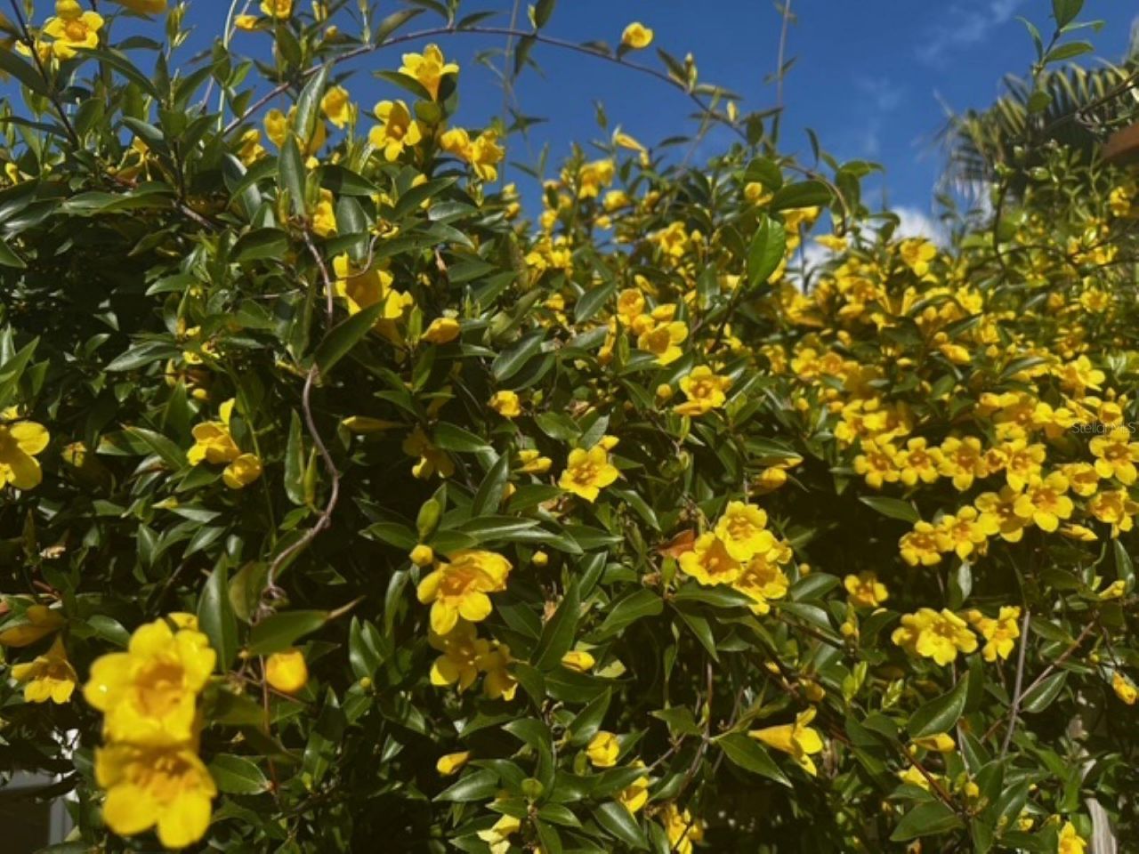 4542 35th Avenue Circle E, Palmetto, FL 34221 Photo