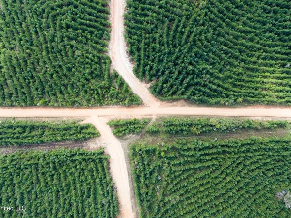 010 Attala Road , McCool, MS 39108