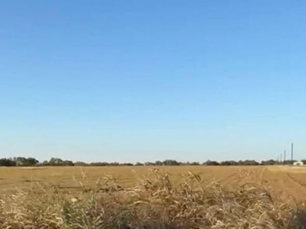 TBD County Road 133 CTR, Unit Lot 6, Ben Arnold, TX 76519