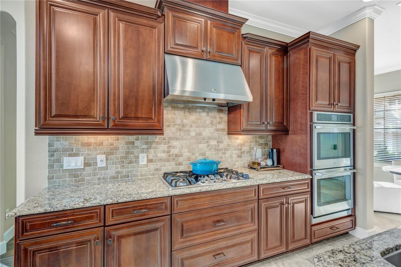 14811 Donald Ross Court, Tampa, FL 33626 Photo