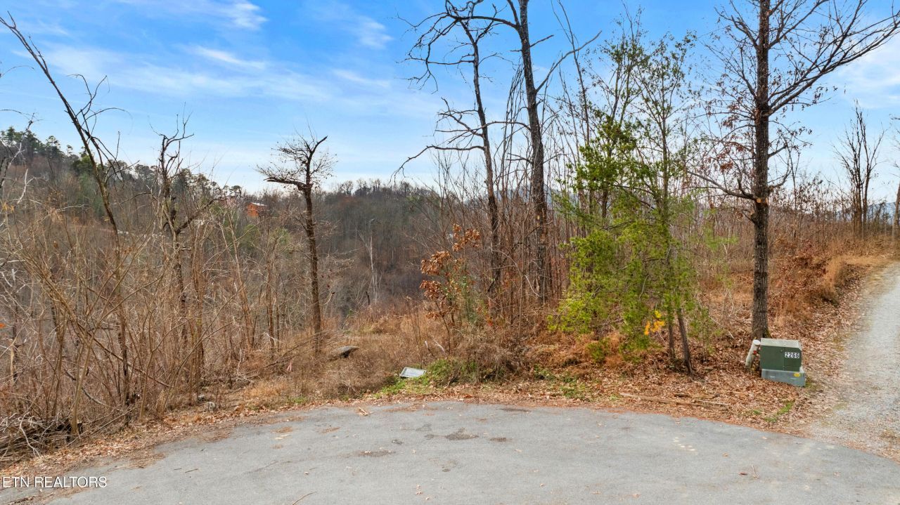 Lot 7r Lone Ridge Drive, Sevierville, TN 37876 Main Photo