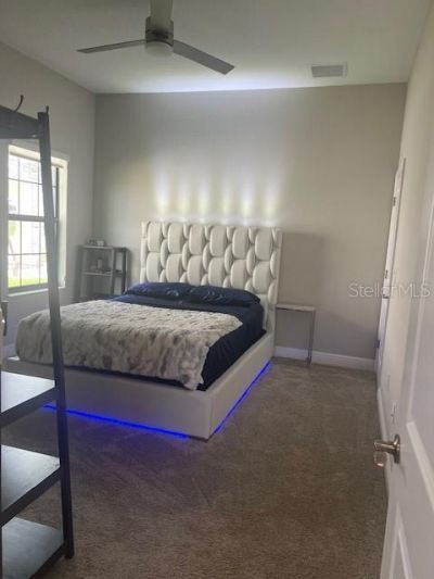 2667 Northwood Park Street, Valrico, FL 33596 Photo