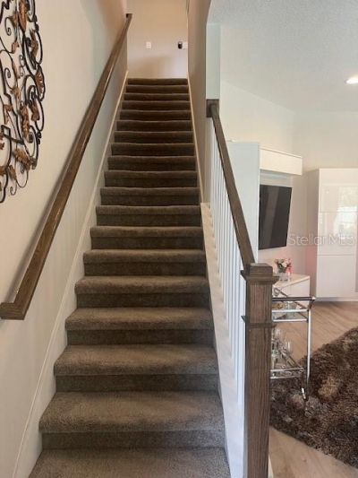 2667 Northwood Park Street, Valrico, FL 33596 Photo