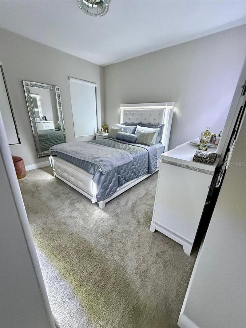 2667 Northwood Park Street, Valrico, FL 33596 Photo