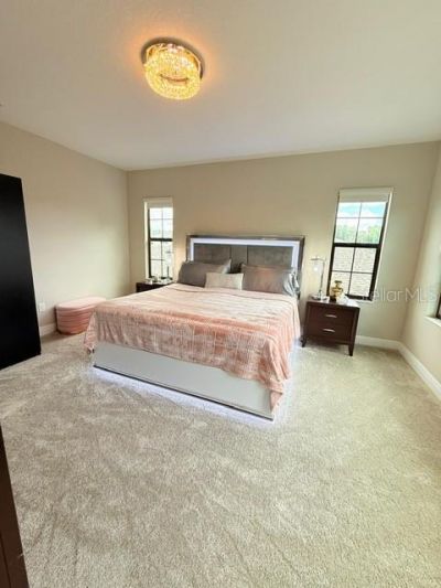 2667 Northwood Park Street, Valrico, FL 33596 Photo