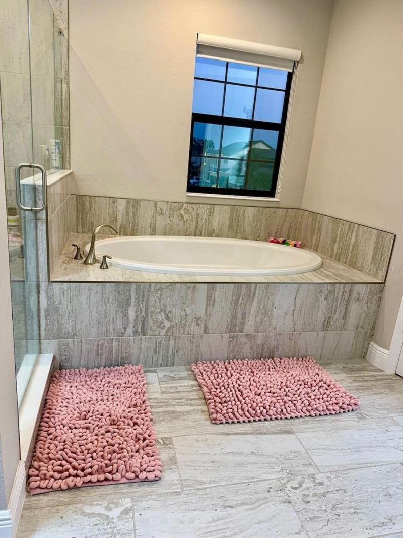 2667 Northwood Park Street, Valrico, FL 33596 Photo