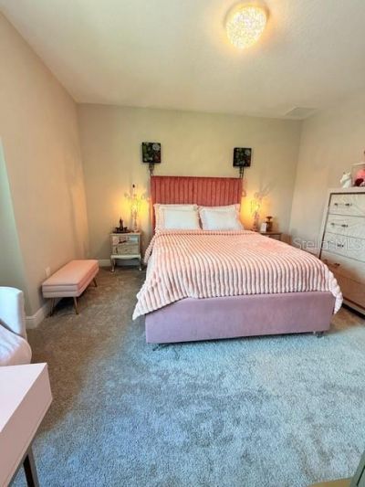 2667 Northwood Park Street, Valrico, FL 33596 Photo