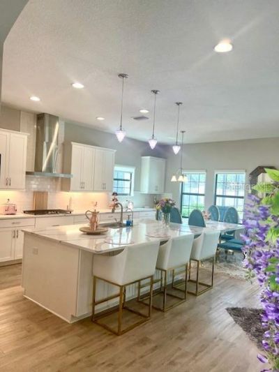 2667 Northwood Park Street, Valrico, FL 33596 Photo