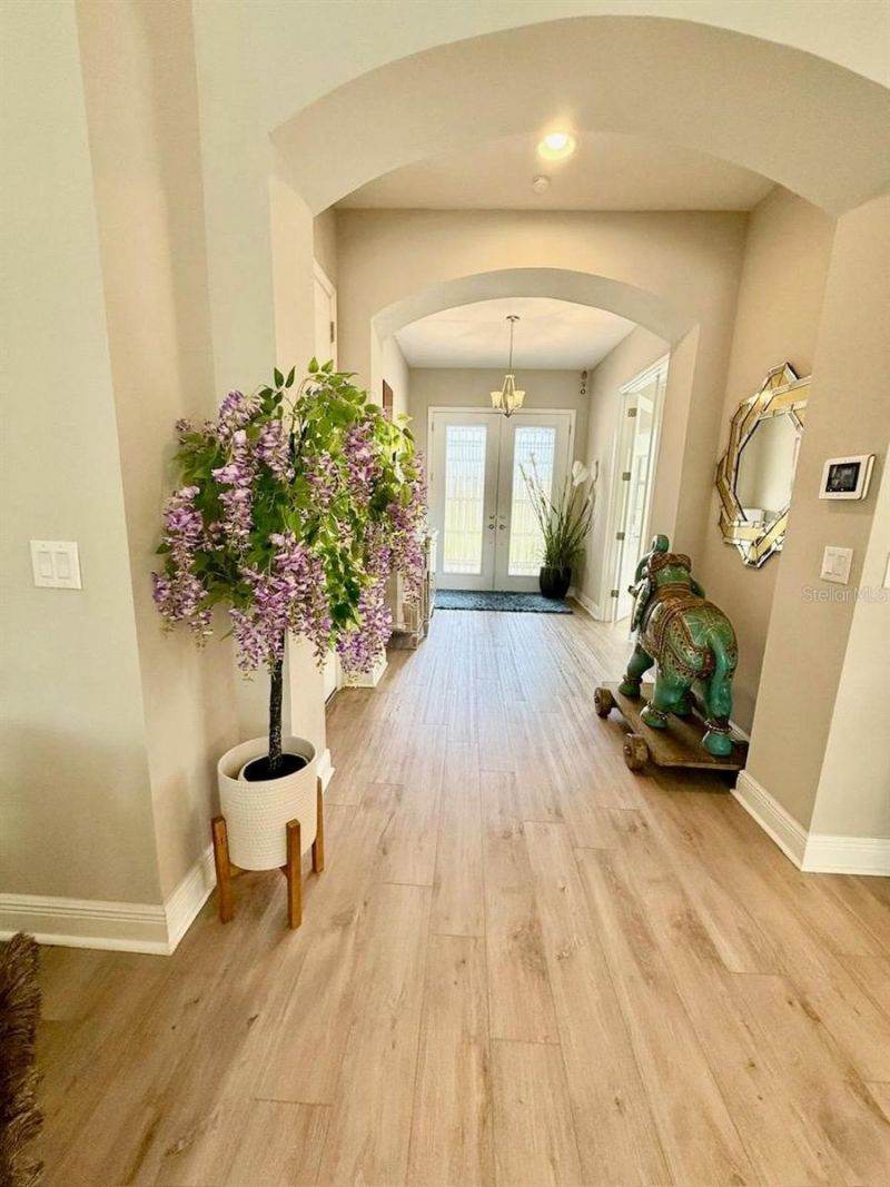 2667 Northwood Park Street, Valrico, FL 33596 Photo