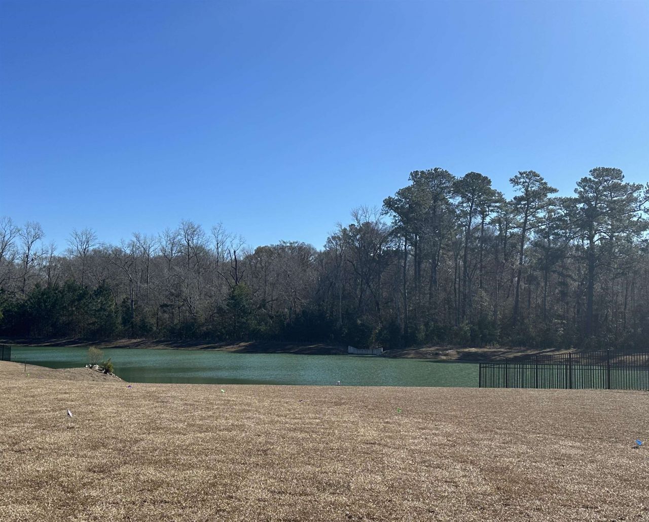 905 Birch Garden Dr. Photo 2