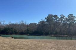 905 Birch Garden Dr. photo 4