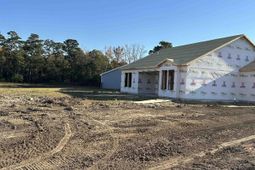 905 Birch Garden Dr. photo 4