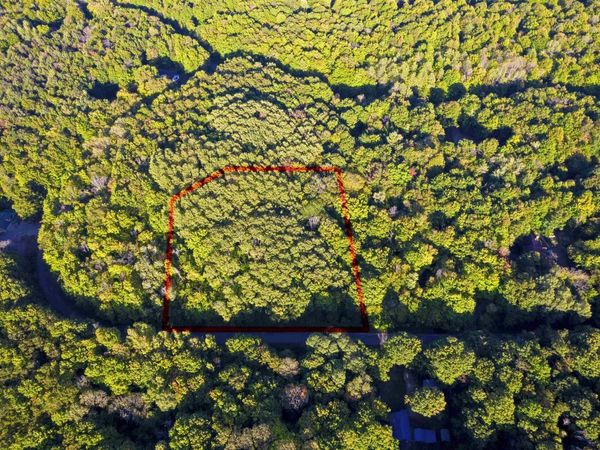 Forestgrove Drive, Elmira, MI 49730