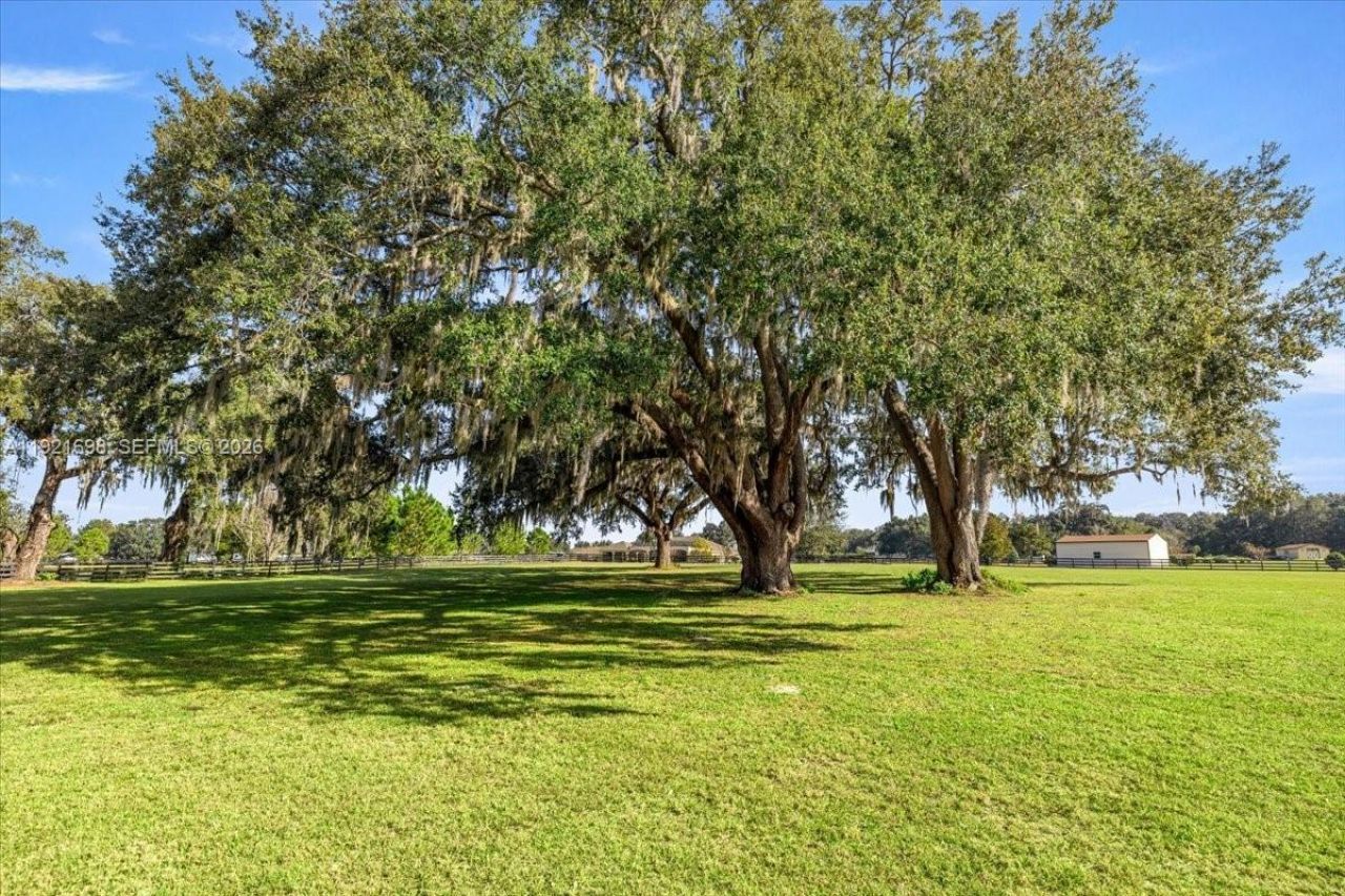 10561 NE 104th Cir, Oxford, FL 34484 Photo