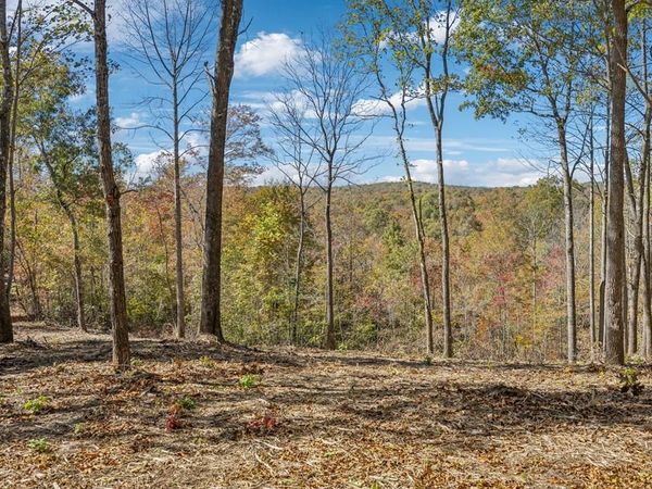 Tract 9 Off Of Sheep Ranch Road, Robbins, TN 37852