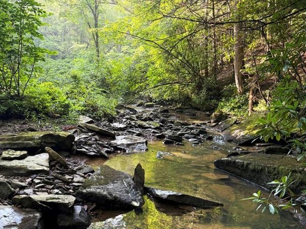 Tract 2 Sheep Ranch Road, Robbins, TN 37852