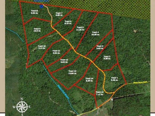 Tract 15 Off Of Sheep Ranch Road, Robbins, TN 37852