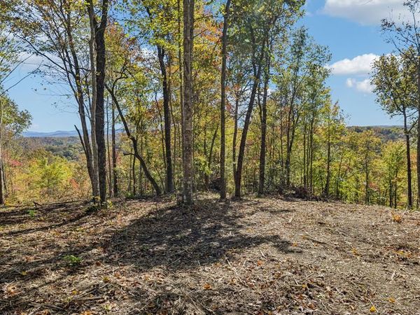 Tract 14 Off Of Sheep Ranch Road, Robbins, TN 37852