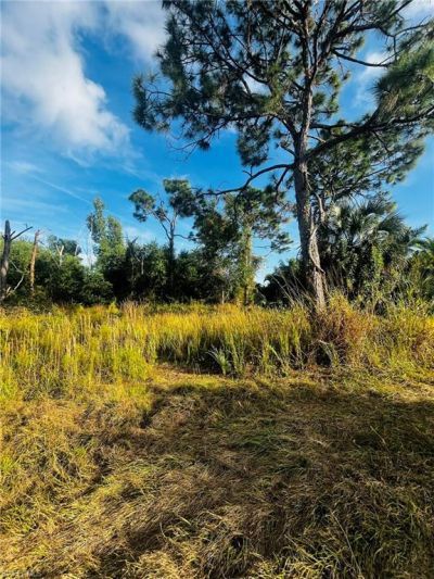 13173 Bottlebrush Rd, Bokeelia, FL 33922 Photo