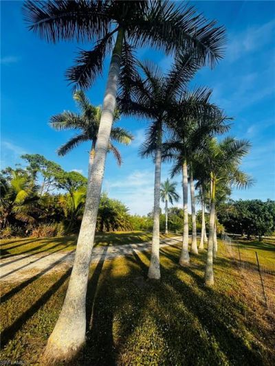 13173 Bottlebrush Rd, Bokeelia, FL 33922 Photo