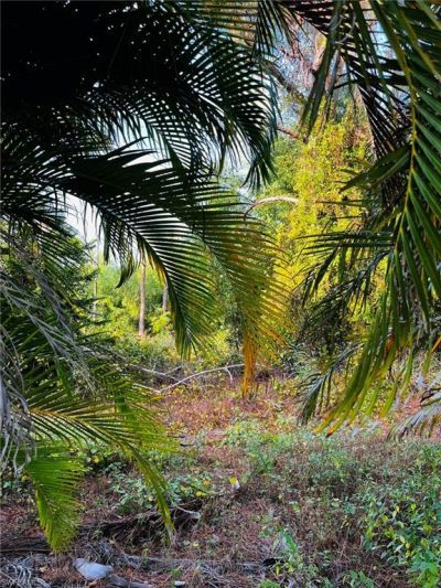 13173 Bottlebrush Rd, Bokeelia, FL 33922 Photo