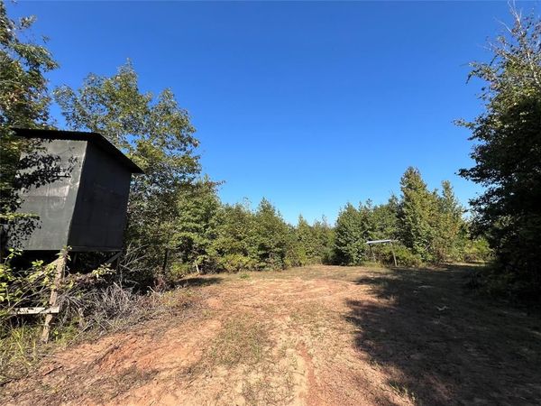 TBD CR 1579-1, Avinger, TX 75630