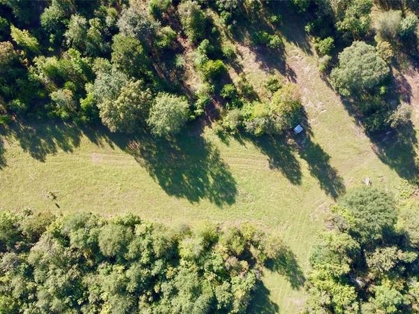 TBD CR 1579-2, Avinger, TX 75630