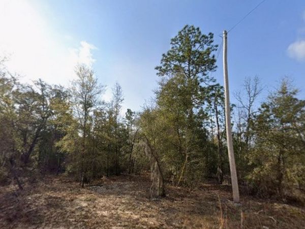 TBD S 3rd Ave, Interlachen, FL 32148