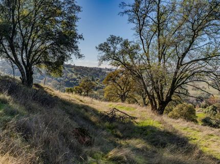 14994 Fremont Mine Rd, Sutter Creek, CA 95685 Photo